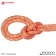 画像4: Crag Classic Rope 9.8mm (60m) (4)