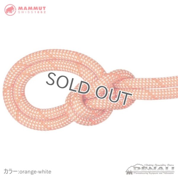 画像4: Crag Classic Rope 9.8mm (60m) (4)