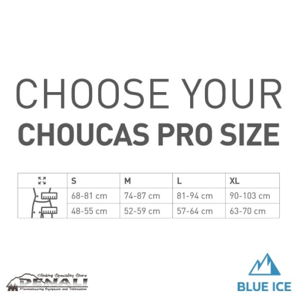 画像6: 【旧モデル在庫処分】Choucas Pro (6)