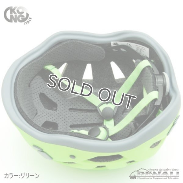 画像16: REEF (2020) (16)