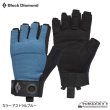 画像1: Men's CRAG HALF FINGER GLOVES (2020・BD) (1)