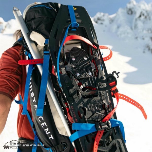 画像7: Helium BC 23 (7)