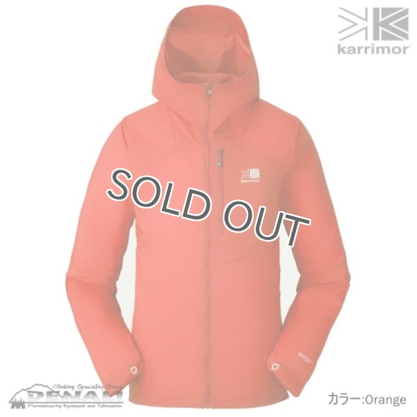 画像1: vapour hoodie (1)