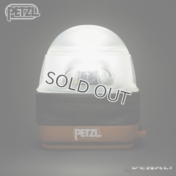 画像3: NOCTILIGHT (3)