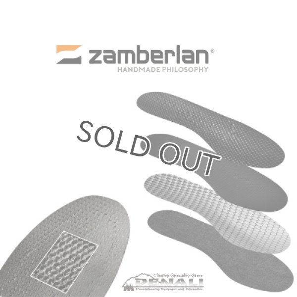 画像4: EIGER LITE GTX RR BOA (4)