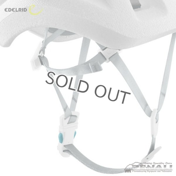 画像6: SALATHE LITE (6)