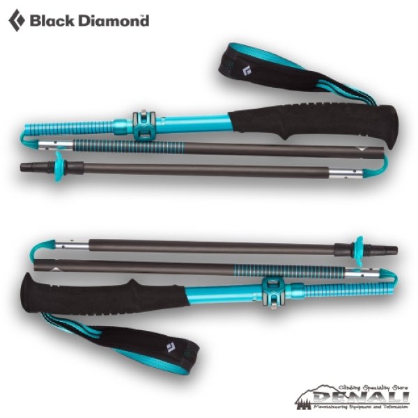 画像4: 【旧モデル在庫処分】WOMEN'S DISTANCE CARBON FLZ  (4)