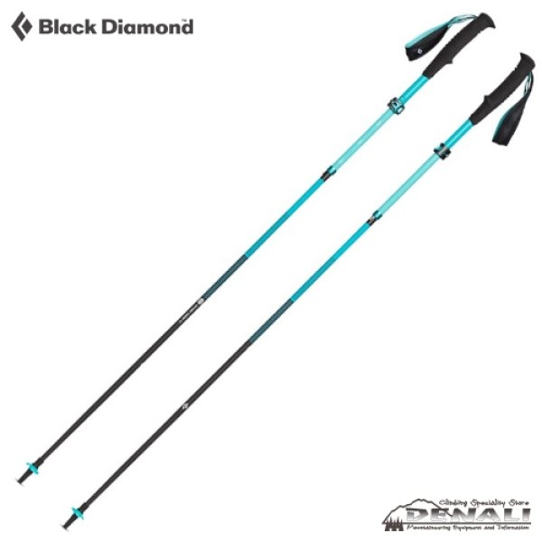 画像3: 【旧モデル在庫処分】WOMEN'S DISTANCE CARBON FLZ  (3)