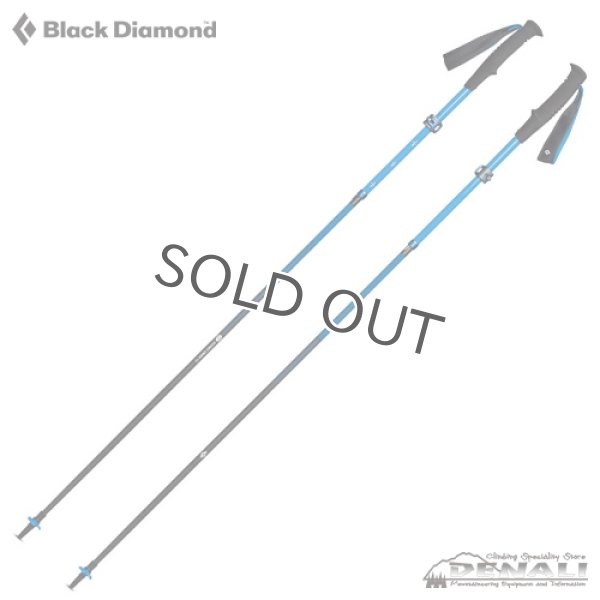 画像3: 【旧モデル在庫処分】DISTANCE CARBON FLZ  (2022SS) (3)