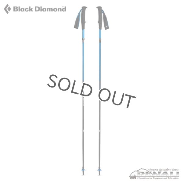 画像2: 【旧モデル在庫処分】DISTANCE CARBON Z (2022SS) (2)