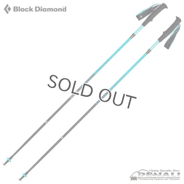 画像3: 【旧モデル在庫処分】　WOMEN'S  DISTANCE CARBON Z  (3)