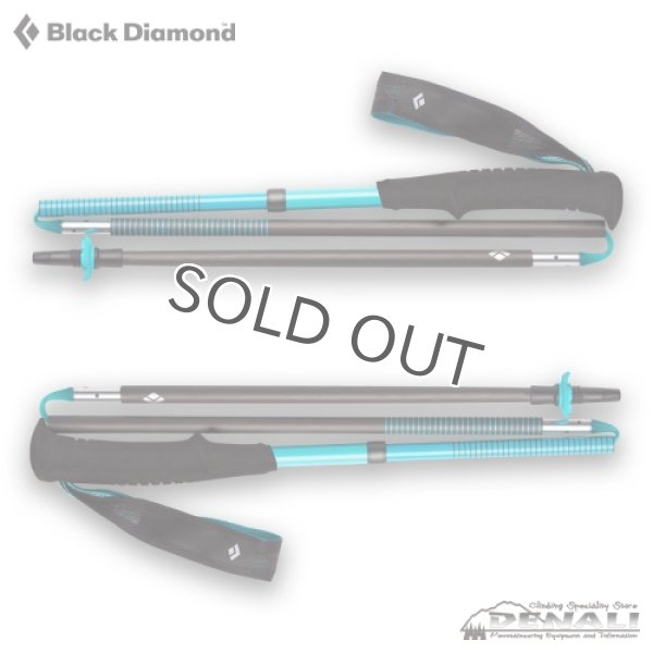 画像4: 【旧モデル在庫処分】　WOMEN'S  DISTANCE CARBON Z  (4)