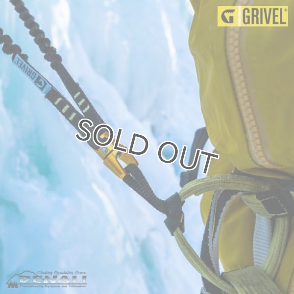 画像5: DOUBLE SPRING EVO (5)