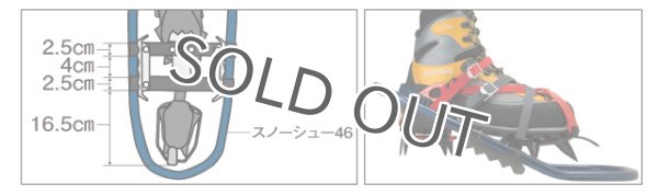 画像5: SNOW SHOE 46 (5)