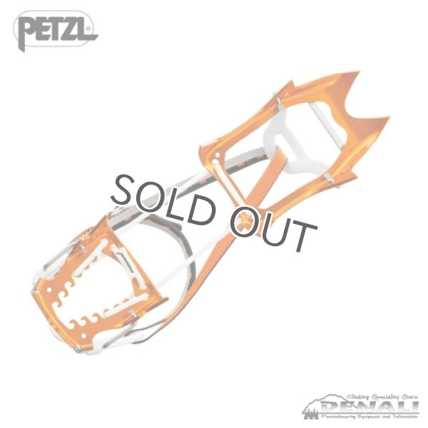 画像4: LEOPARD FL (4)