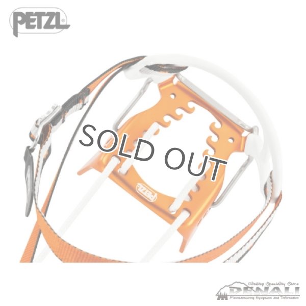 画像3: LEOPARD FL (3)