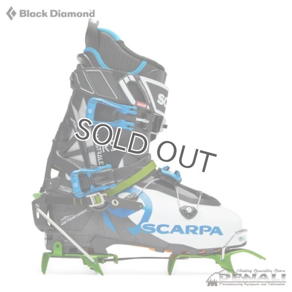 画像7: NEVE Pro (2022FW) (7)