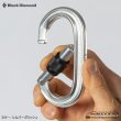 画像5: OVAL Key Lock Screw Gate　 (5)