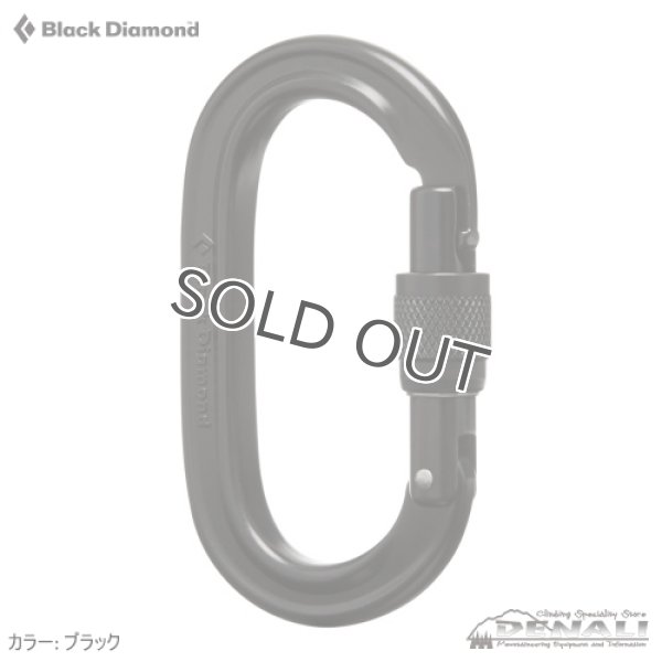 画像4: OVAL Key Lock Screw Gate  (4)