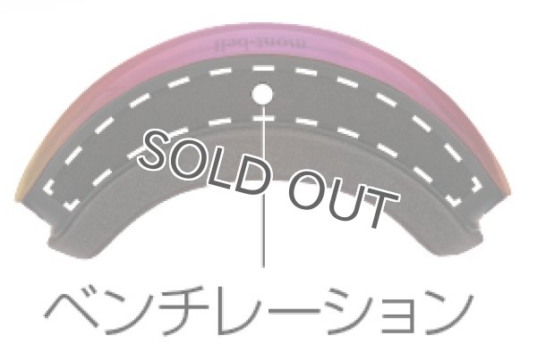 画像6: Alpine Goggles HD (2023FW) (6)