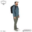 画像11: Aoede DayPack (Aoede Air Speed Backpack) (11)