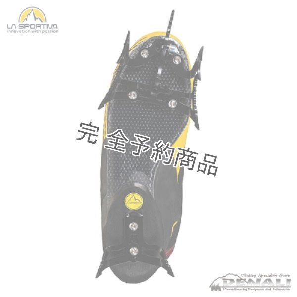 画像3: MEGA ICE EVO (3)