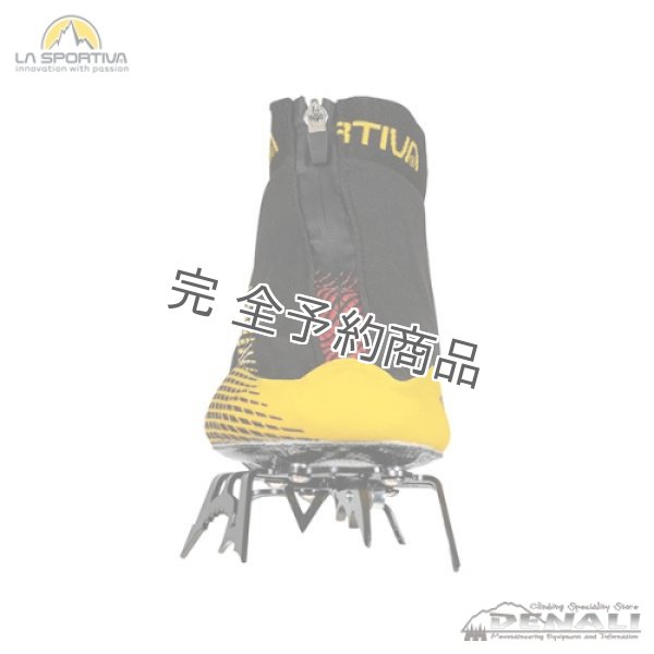 画像4: MEGA ICE EVO (4)