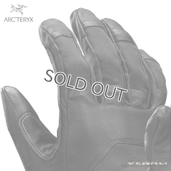 画像2: Rope Glove (ARC'TERYX) (2)