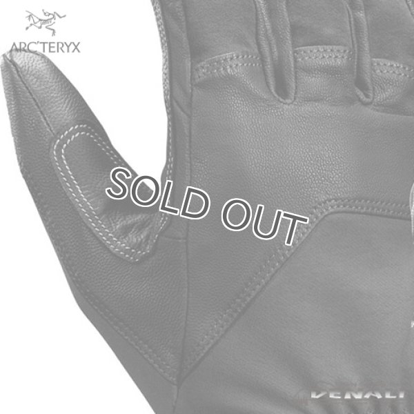 画像3: Rope Glove (ARC'TERYX) (3)