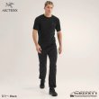 画像7: Ionia Merino Wool SS Men's (2024SS Color) (7)