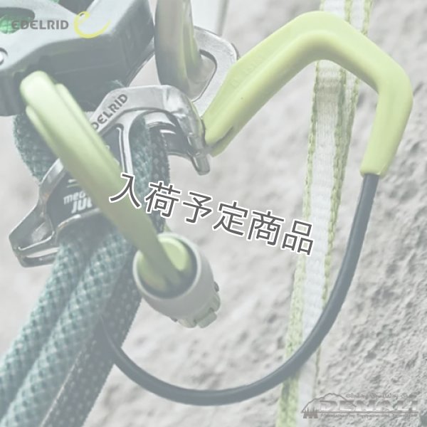 画像3: MEGA JUL II (3)