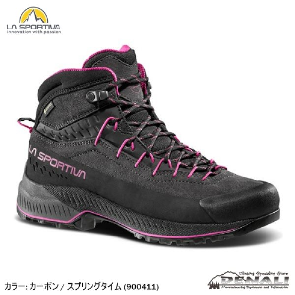 画像1: TX4 EVO MID GTX Woman (1)