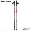 画像1: TRAIL BACK TREKKING POLES (1)