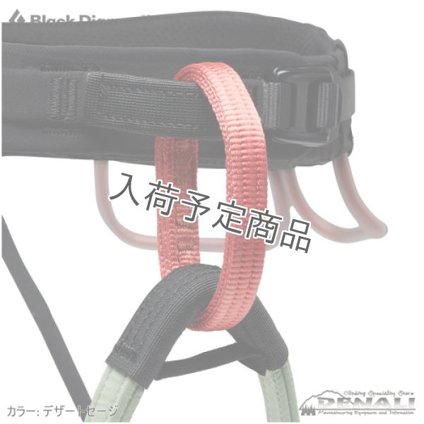 画像4: Women's SOLUTION HARNESS (2024 Color) (4)