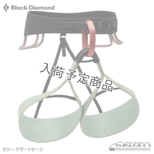 画像1: Women's SOLUTION HARNESS (2024 Color) (1)