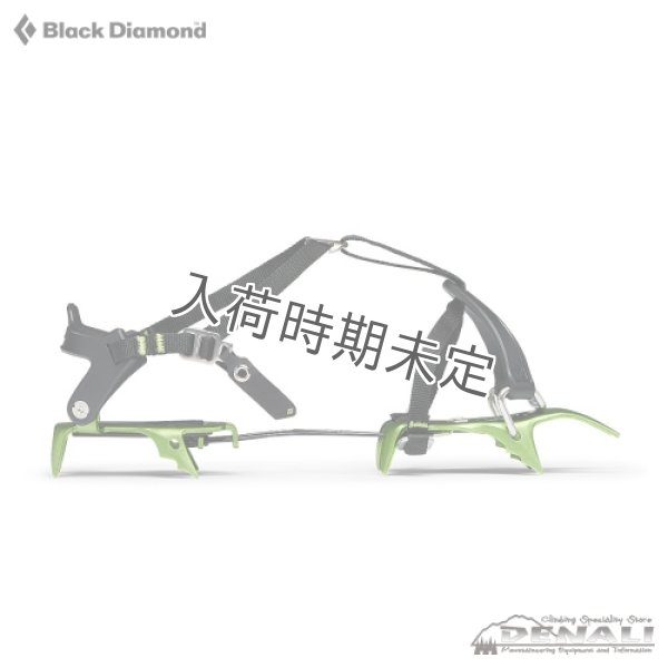 画像2: NEVE Strap (2024) (2)