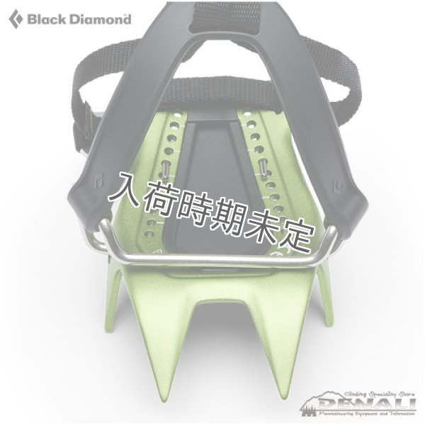 画像5: NEVE Strap (2024) (5)