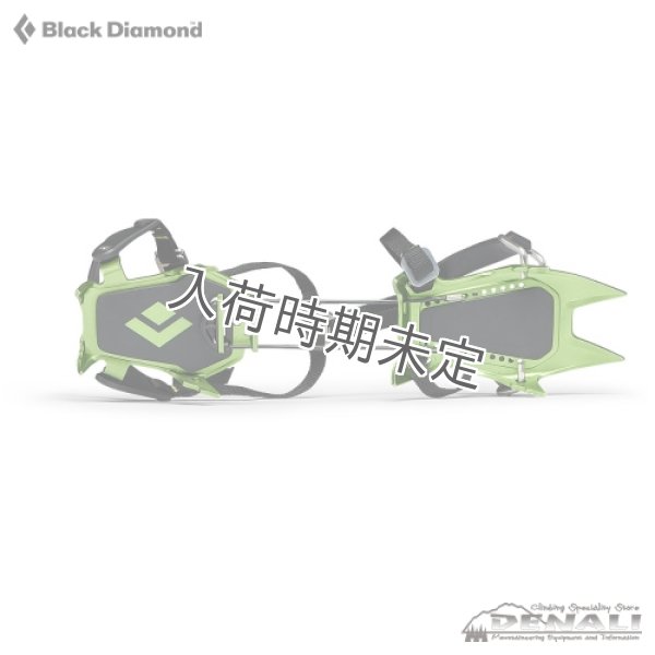 画像3: NEVE Strap (2024) (3)