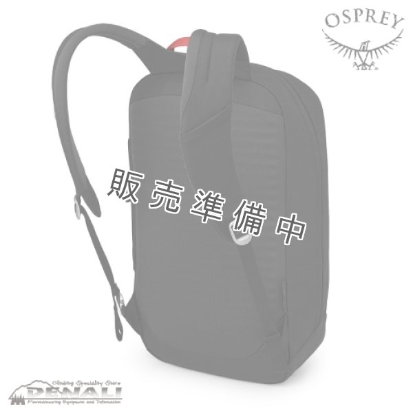 画像3: Arcane Large Day Anniversary (3)