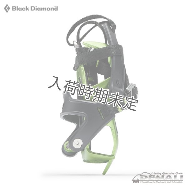 画像4: NEVE Strap (2024) (4)