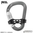 画像3: BAR (PETZL) (3)