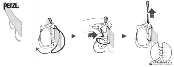 画像5:  CARITOOL EVO (2024) (5)