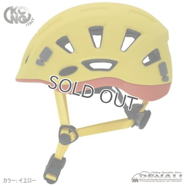 画像14: REEF (2020) (14)