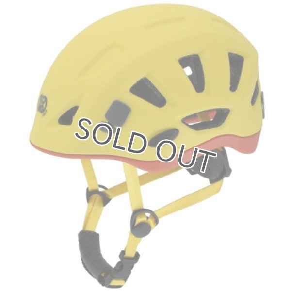 画像3: REEF (2020) (3)