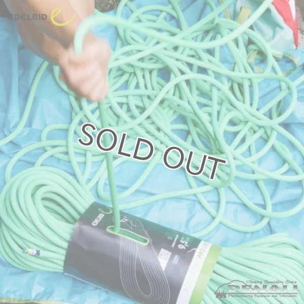 画像7: EAGLE LITE ECO DRY 9,5MM (50m・60m・70M) (7)