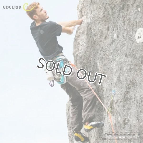 画像11: PRISMA (11)