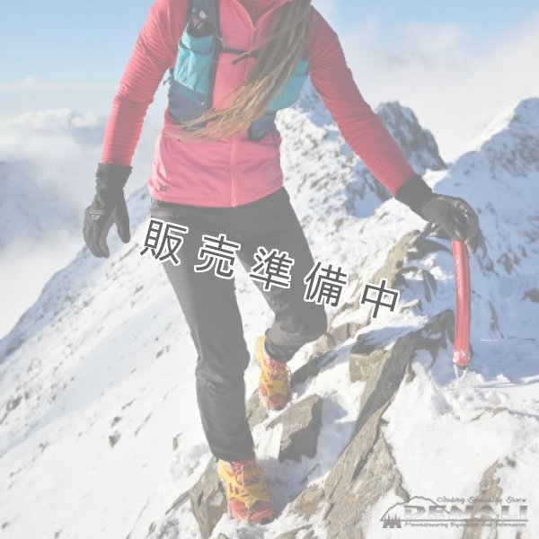 画像5: Flux (DMM) (5)