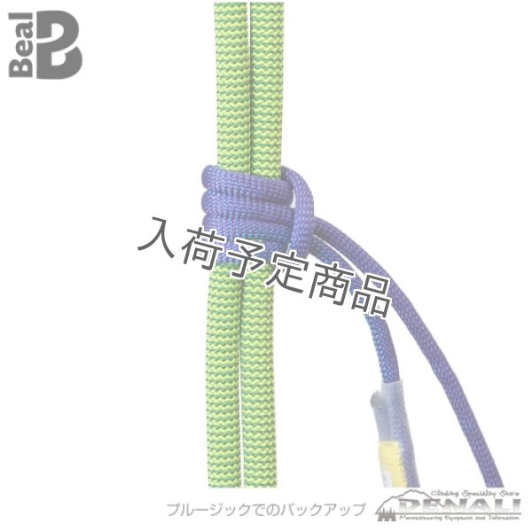 画像3: JAMMY (BEAL) (3)