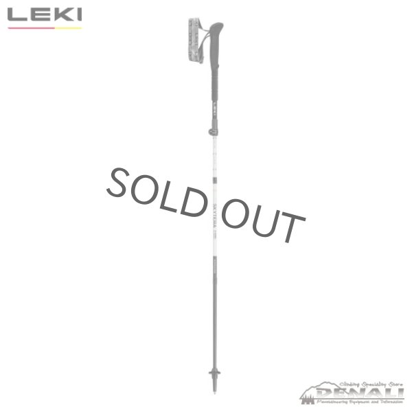 画像2: Skytera FX Carbon SL Compact (2)