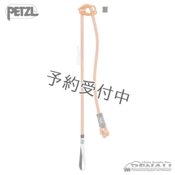 画像1: CONNECT ADJUST (2025) (1)